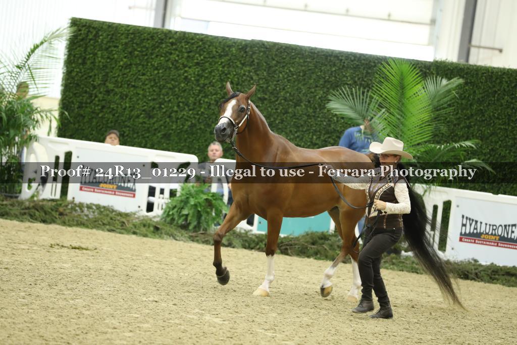 Proof 24R13_01229