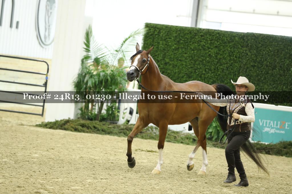 Proof 24R13_01230