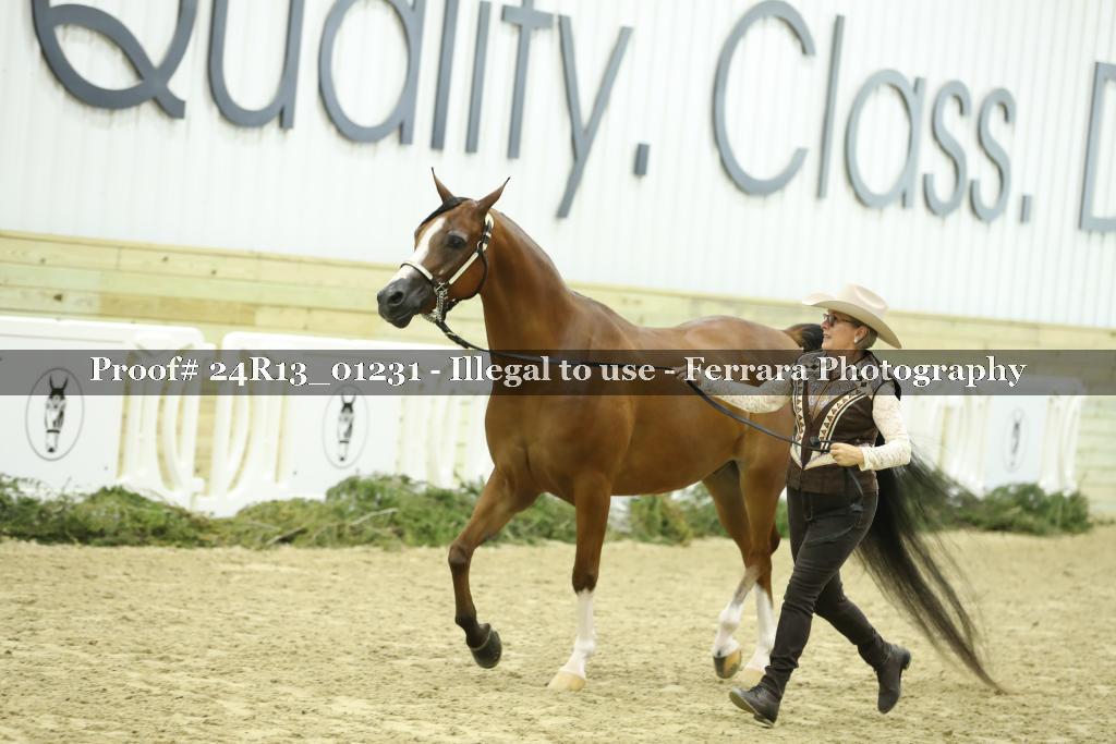 Proof 24R13_01231