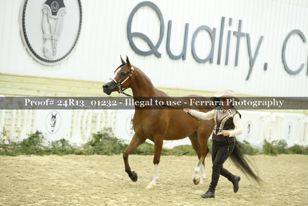 Proof 24R13_01232