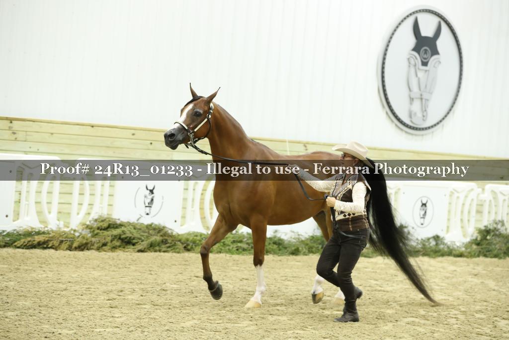 Proof 24R13_01233