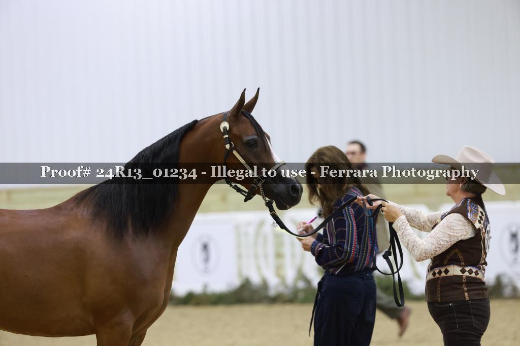 Proof 24R13_01234