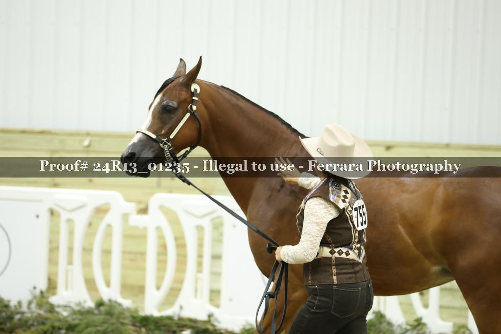 Proof 24R13_01235