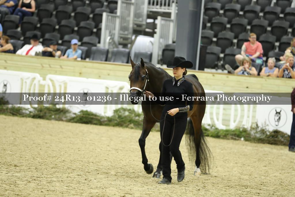 Proof 24R13_01236