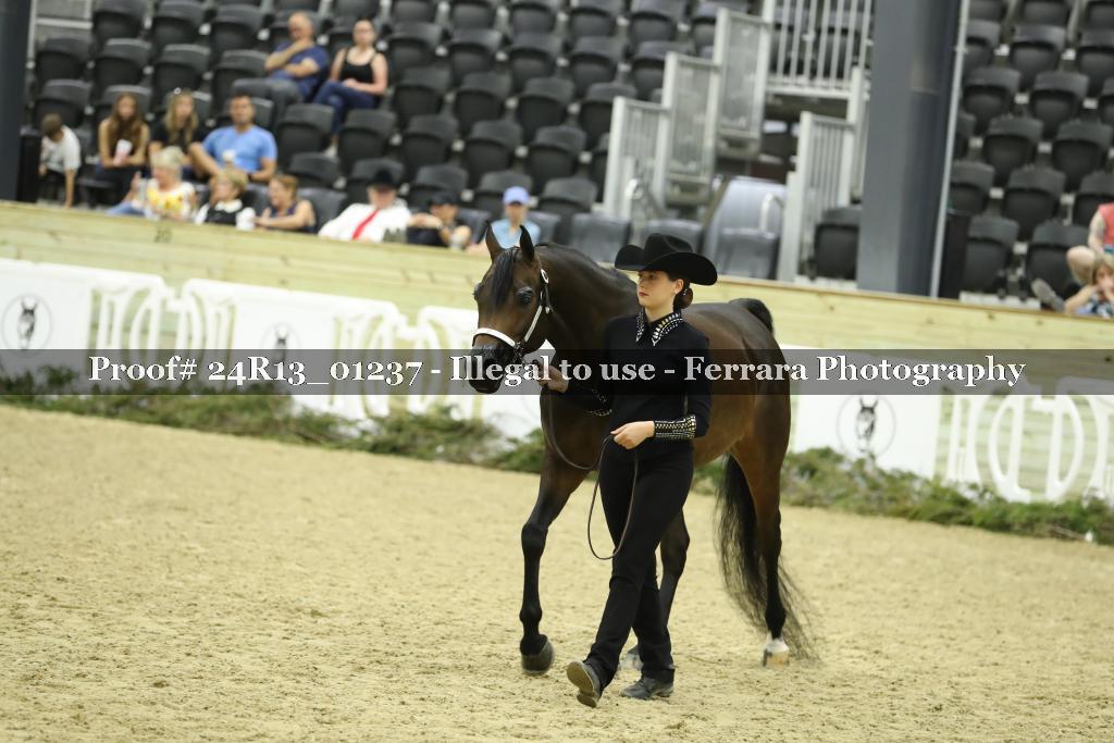 Proof 24R13_01237