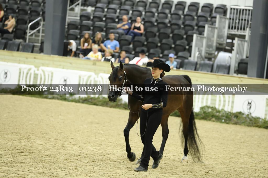 Proof 24R13_01238