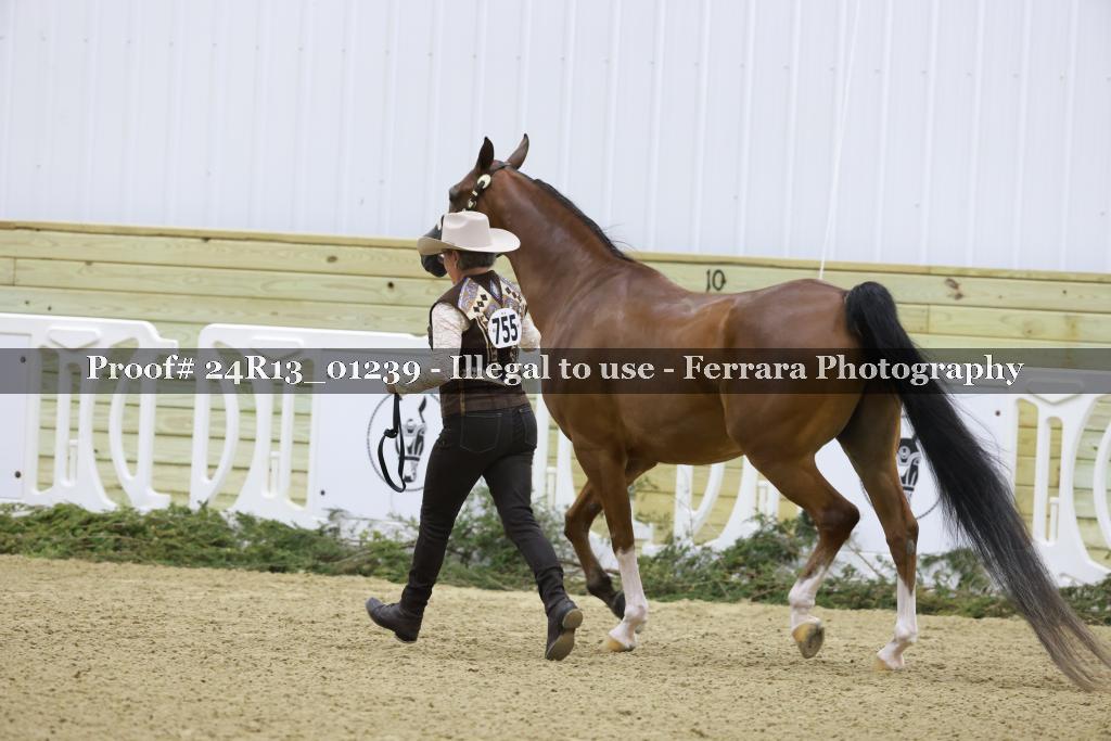 Proof 24R13_01239