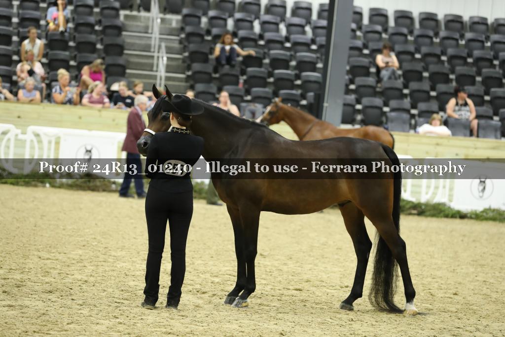 Proof 24R13_01240