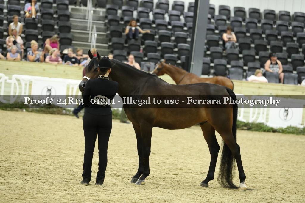 Proof 24R13_01241