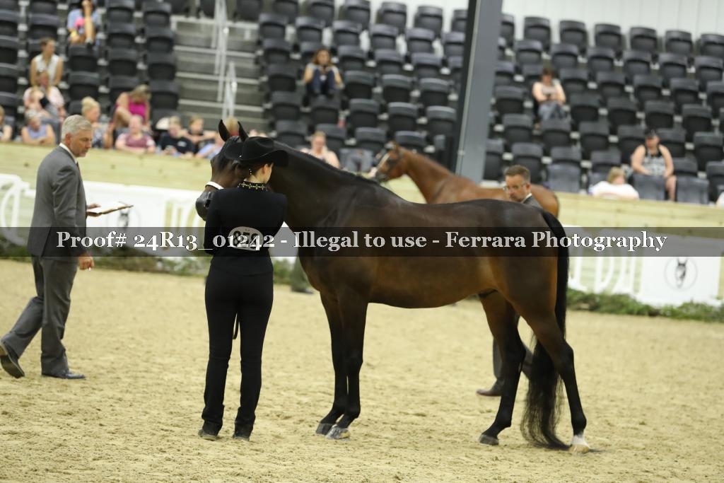 Proof 24R13_01242