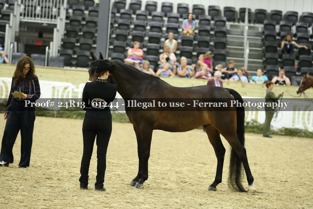 Proof 24R13_01244