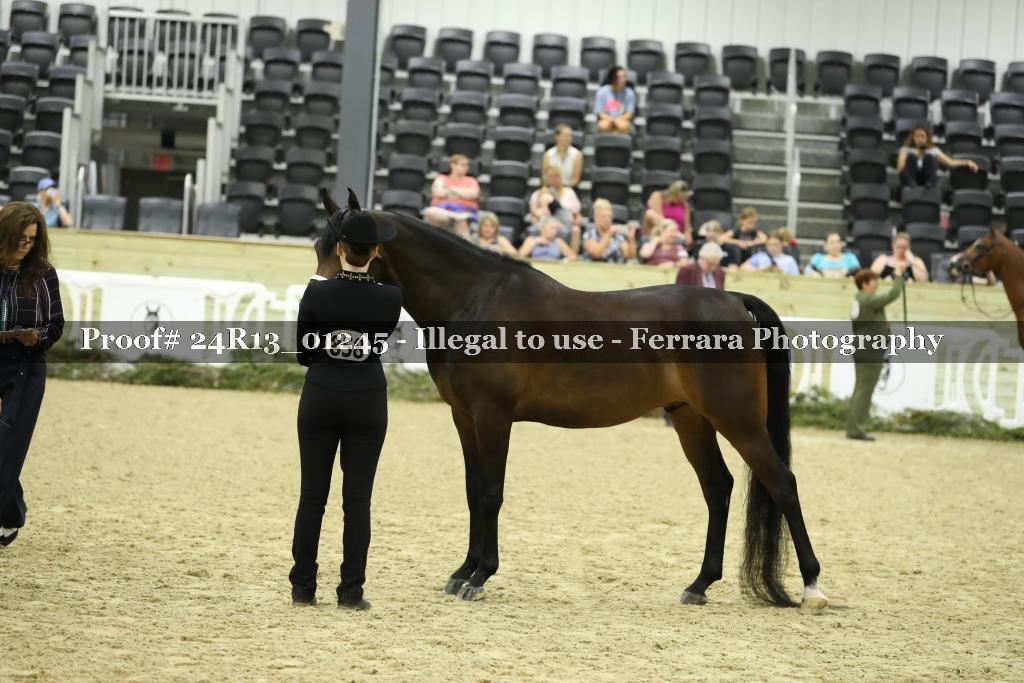 Proof 24R13_01245