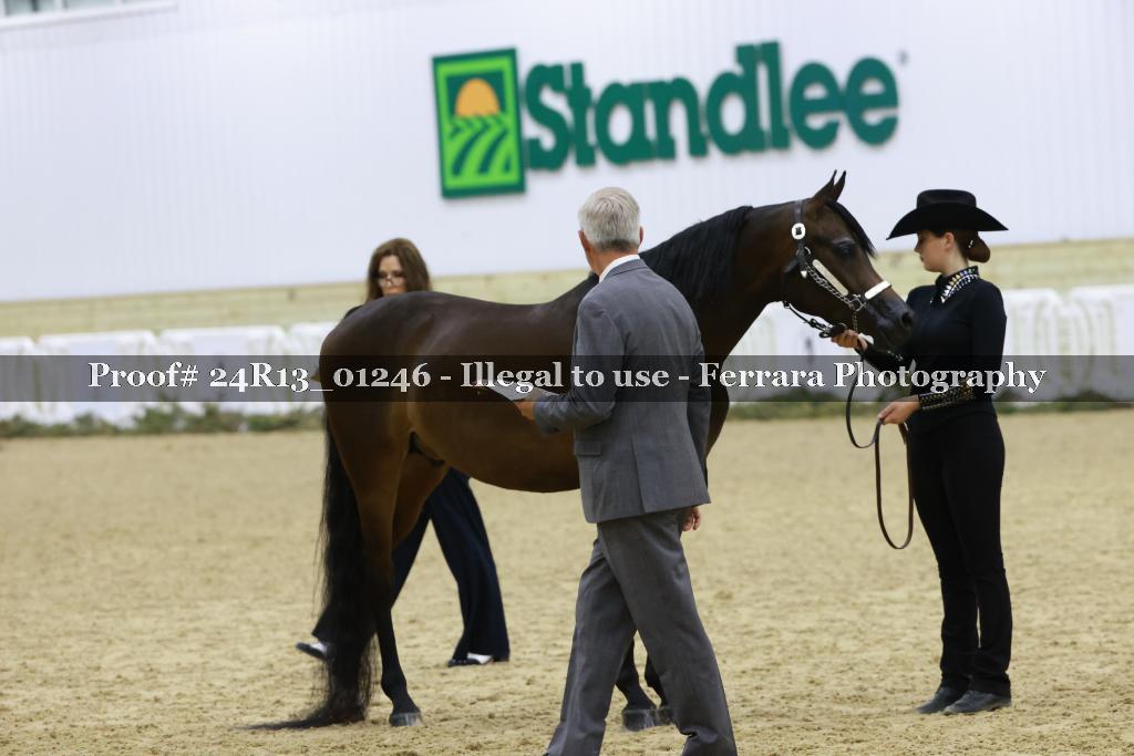 Proof 24R13_01246