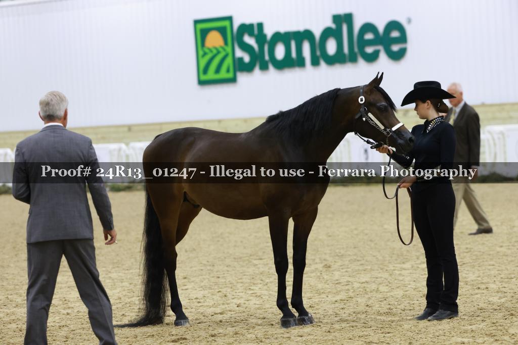 Proof 24R13_01247