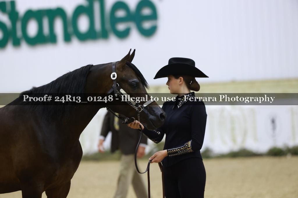 Proof 24R13_01248