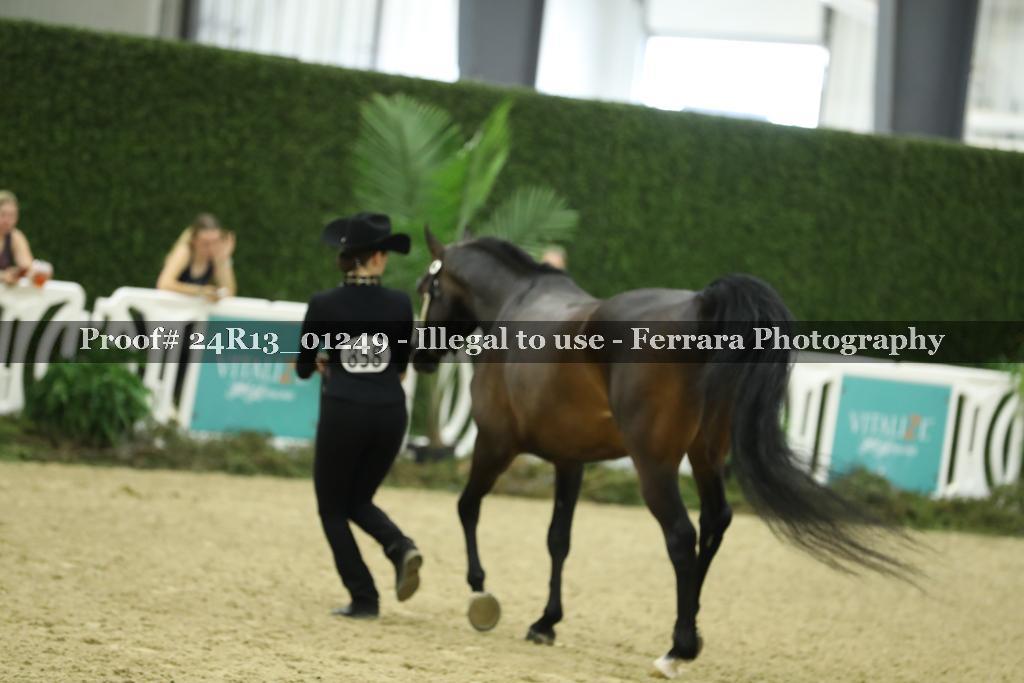 Proof 24R13_01249