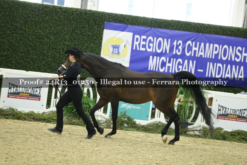 Proof 24R13_01250