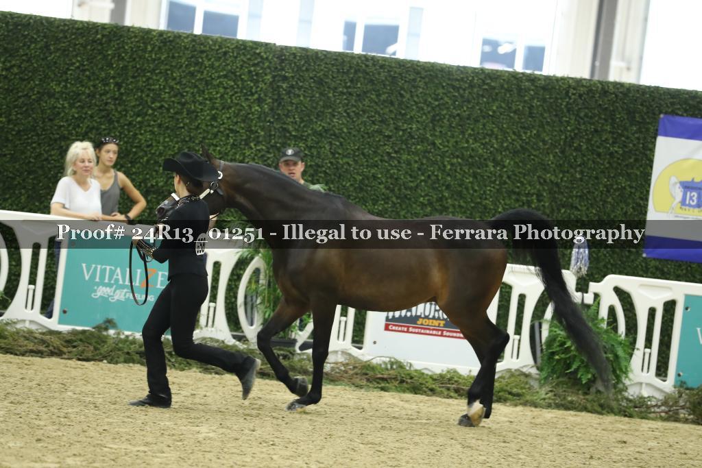 Proof 24R13_01251