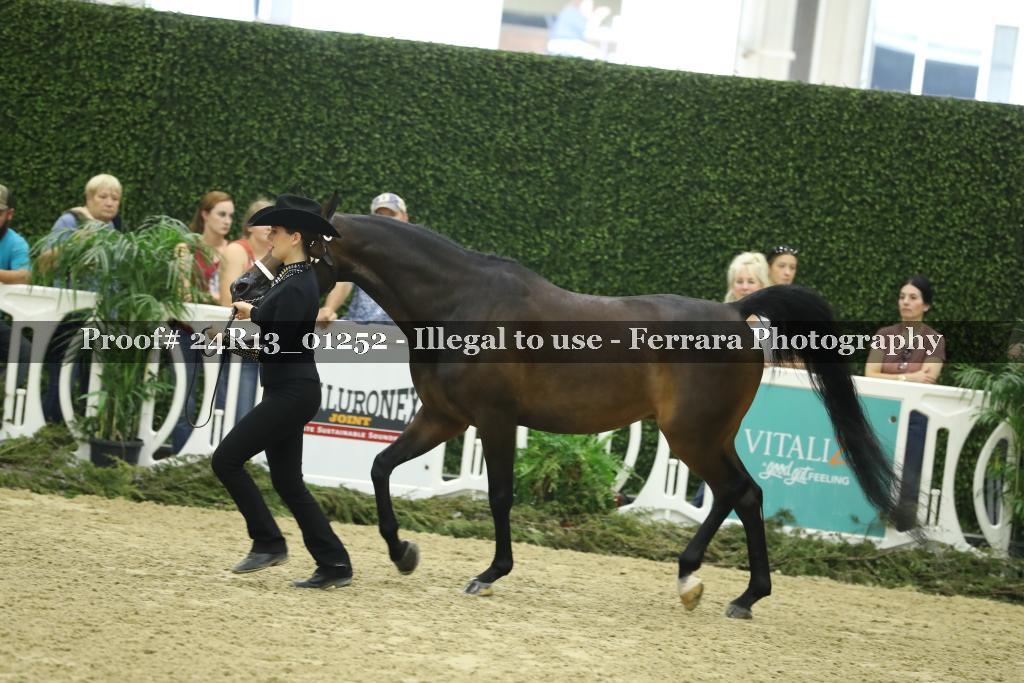 Proof 24R13_01252