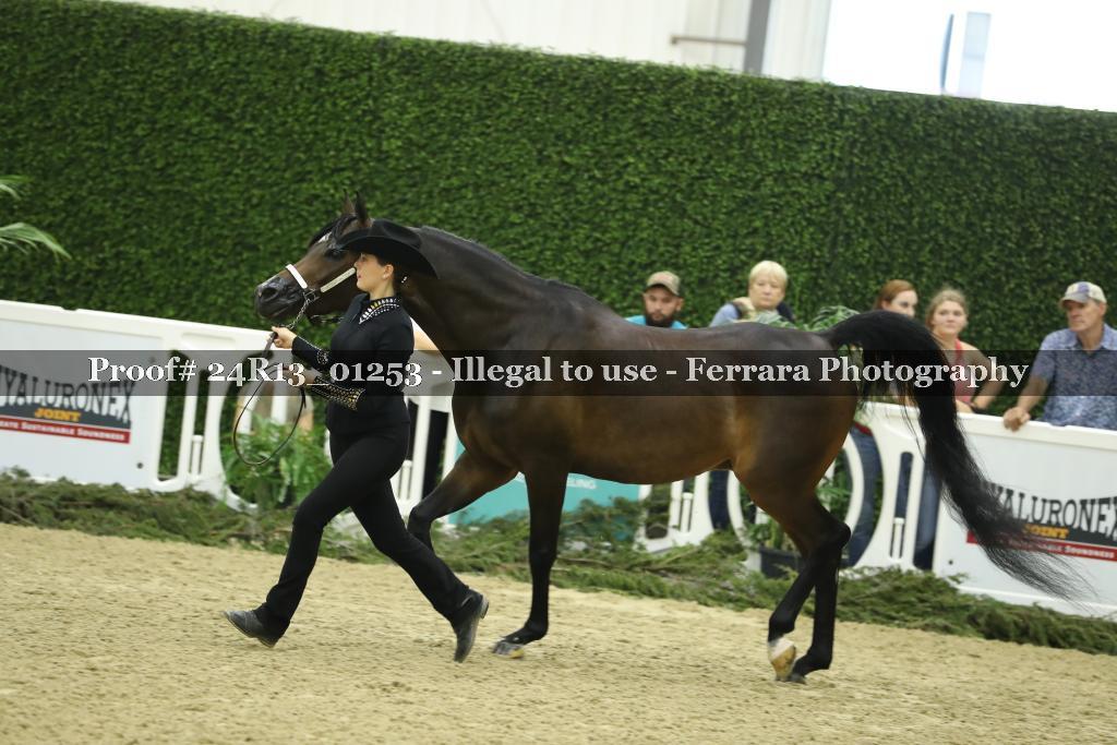 Proof 24R13_01253