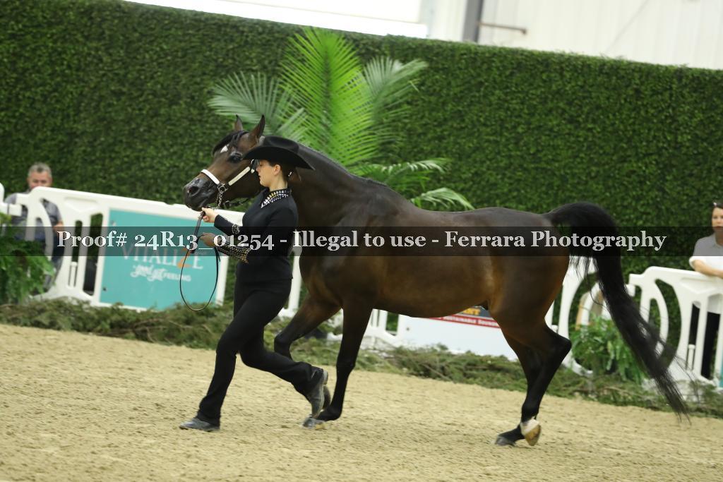 Proof 24R13_01254