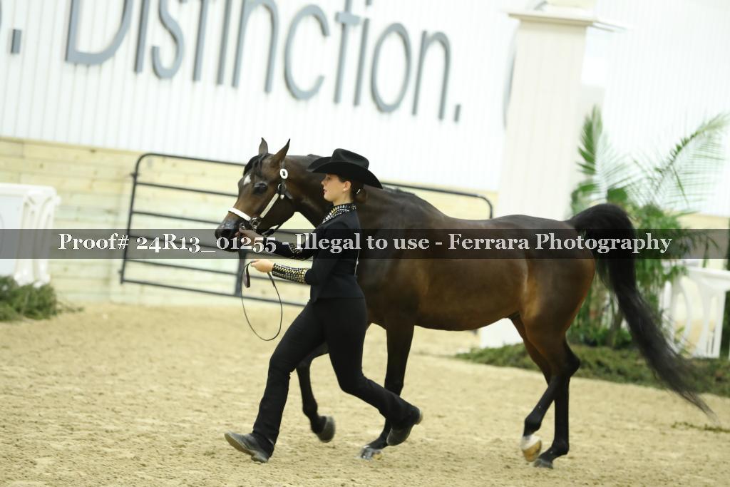 Proof 24R13_01255