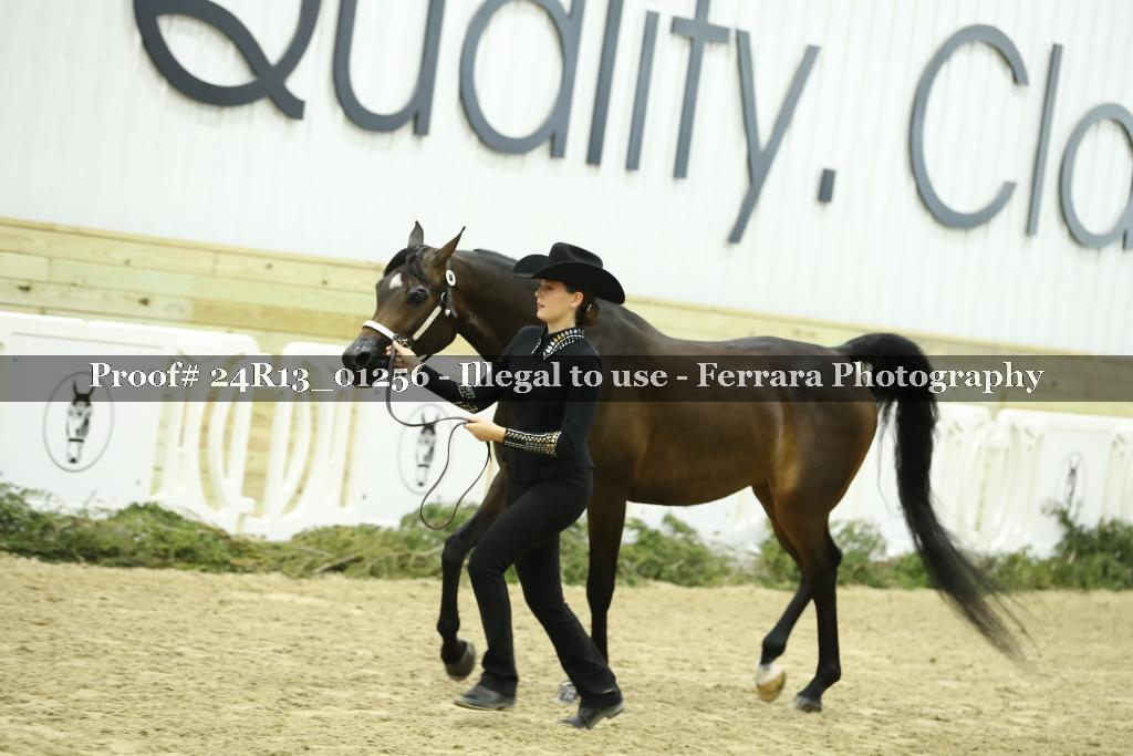 Proof 24R13_01256