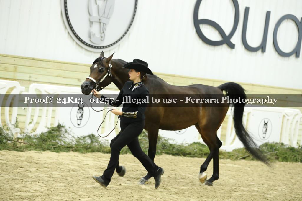 Proof 24R13_01257