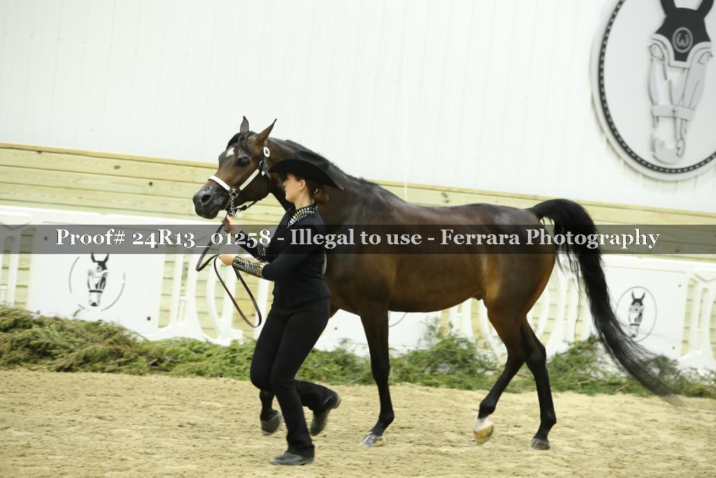 Proof 24R13_01258
