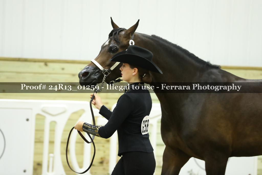 Proof 24R13_01259
