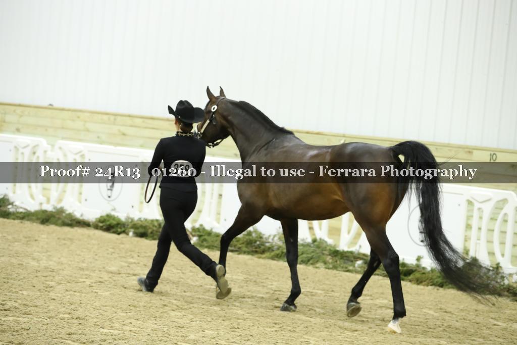 Proof 24R13_01260