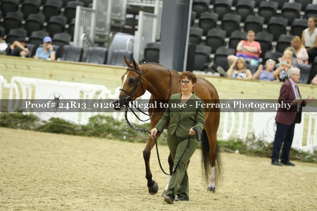Proof 24R13_01262