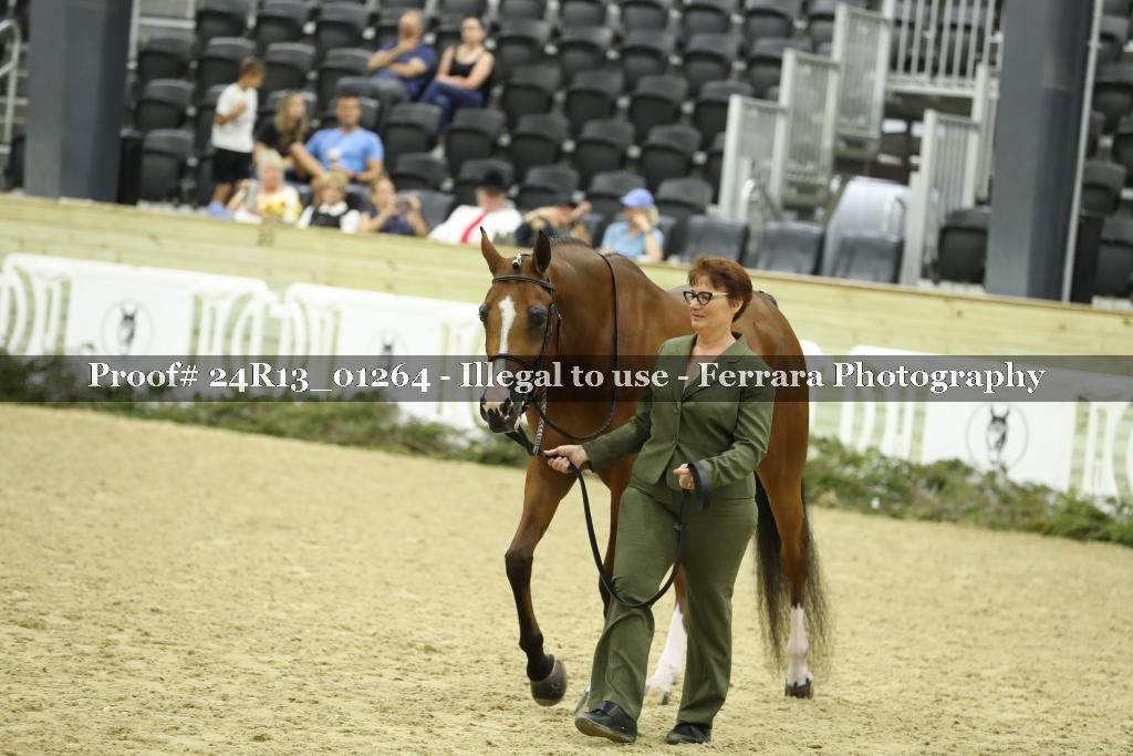 Proof 24R13_01264