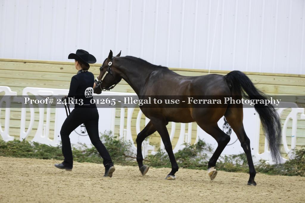 Proof 24R13_01265