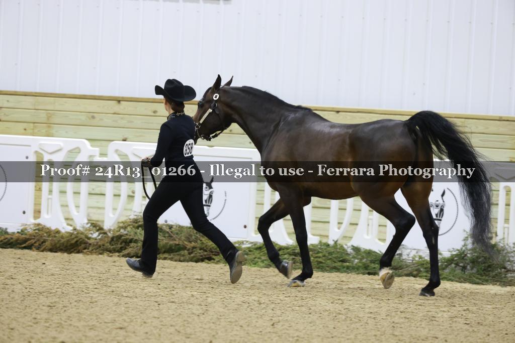 Proof 24R13_01266