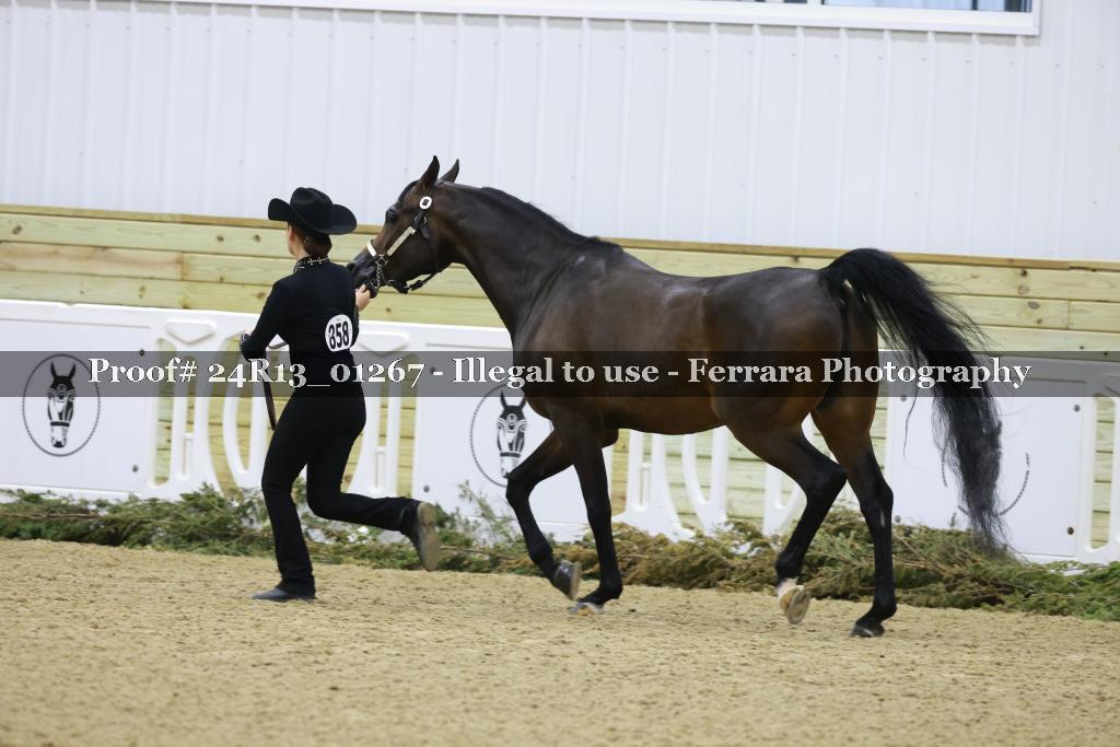 Proof 24R13_01267