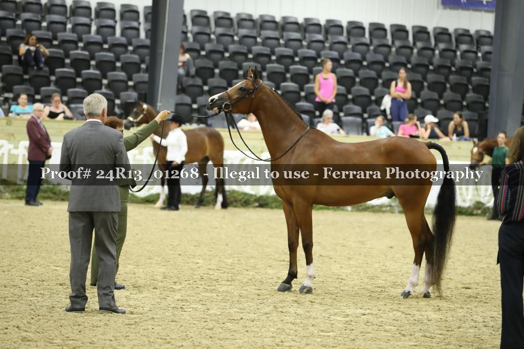 Proof 24R13_01268
