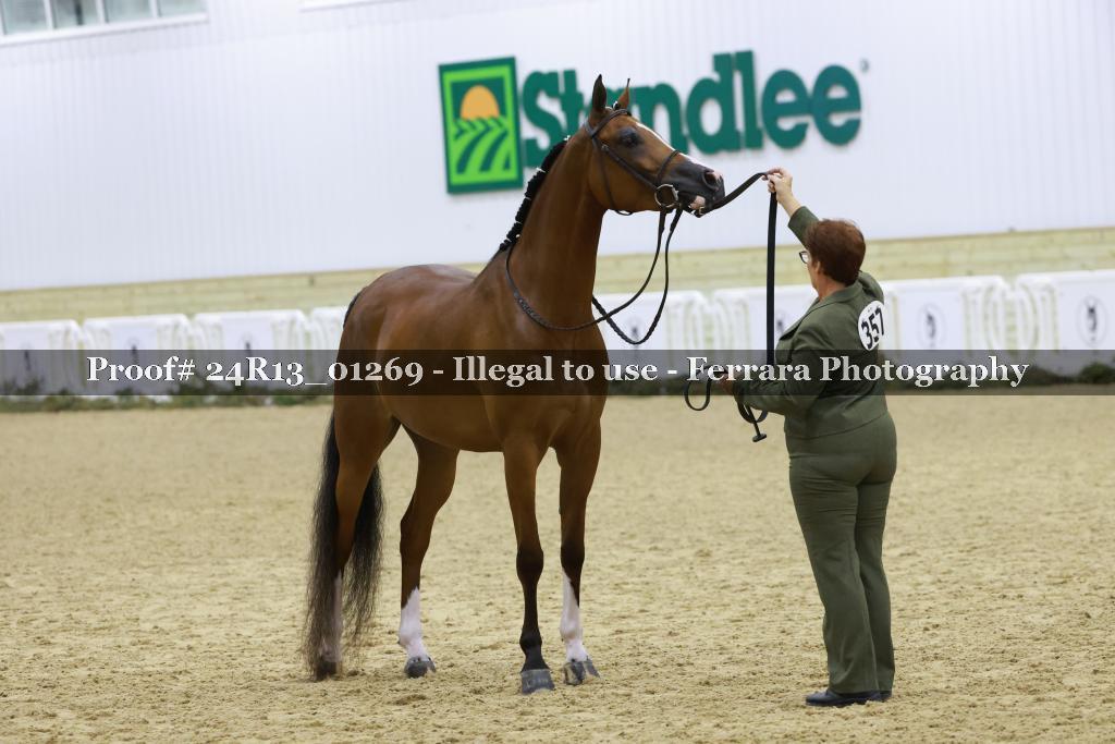 Proof 24R13_01269