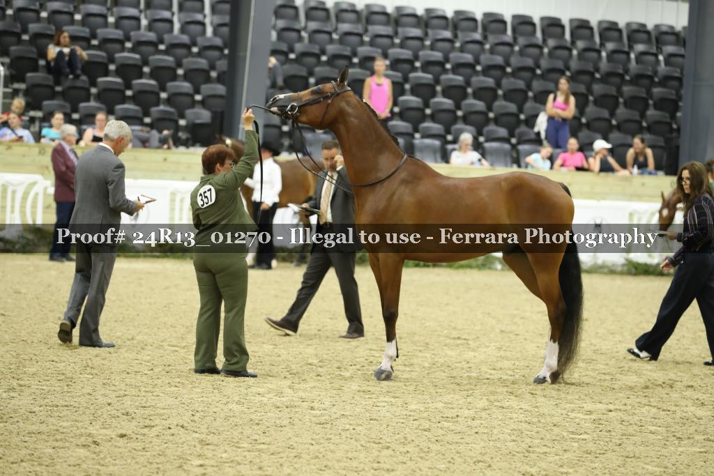 Proof 24R13_01270
