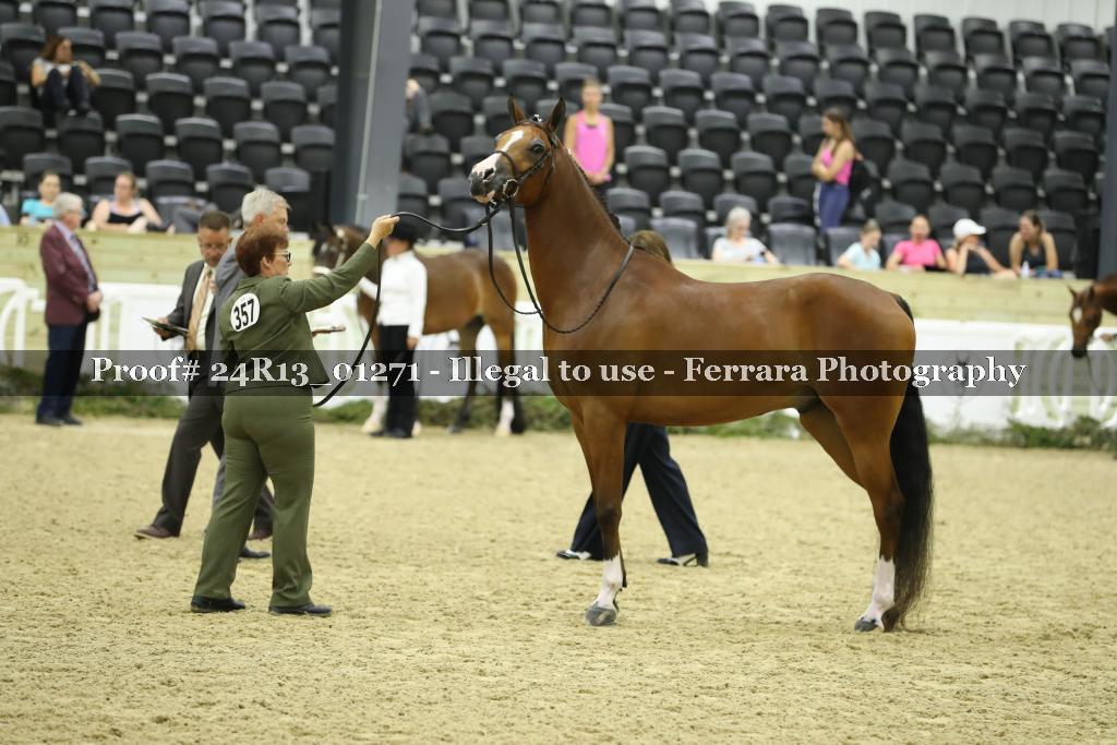 Proof 24R13_01271