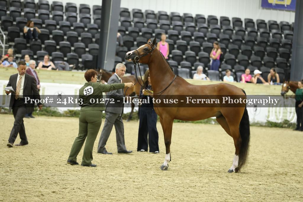 Proof 24R13_01272
