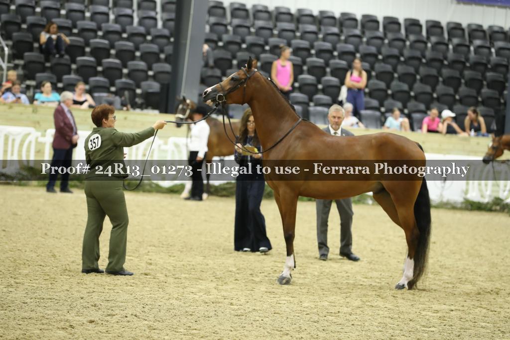 Proof 24R13_01273