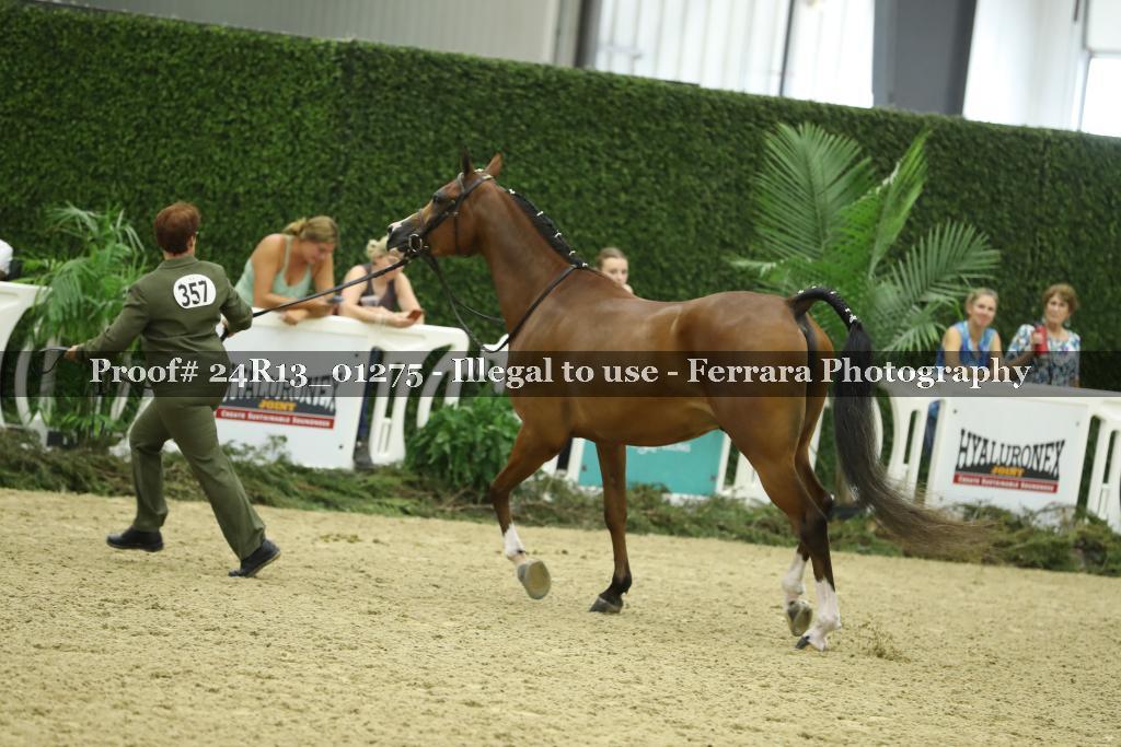 Proof 24R13_01275
