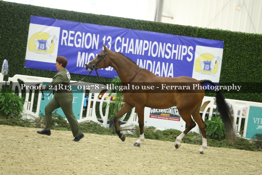 Proof 24R13_01278