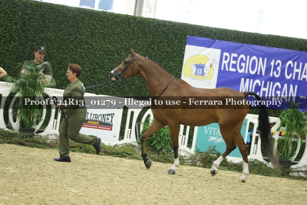 Proof 24R13_01279