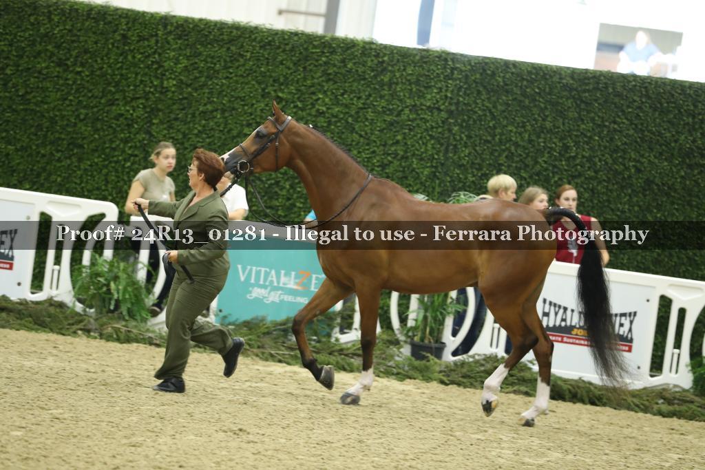 Proof 24R13_01281
