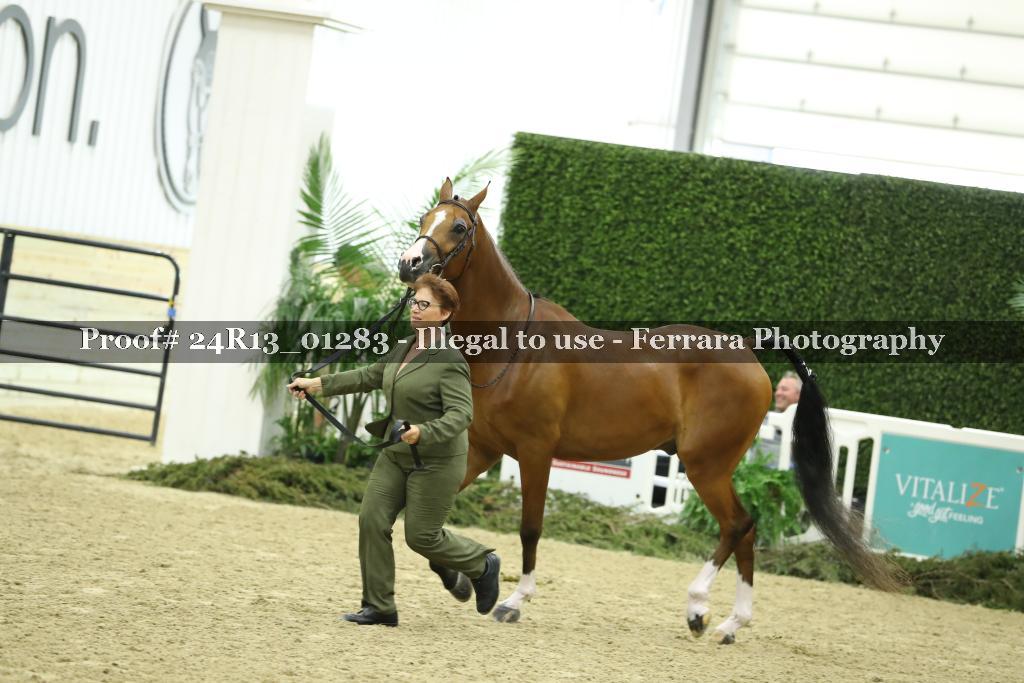 Proof 24R13_01283