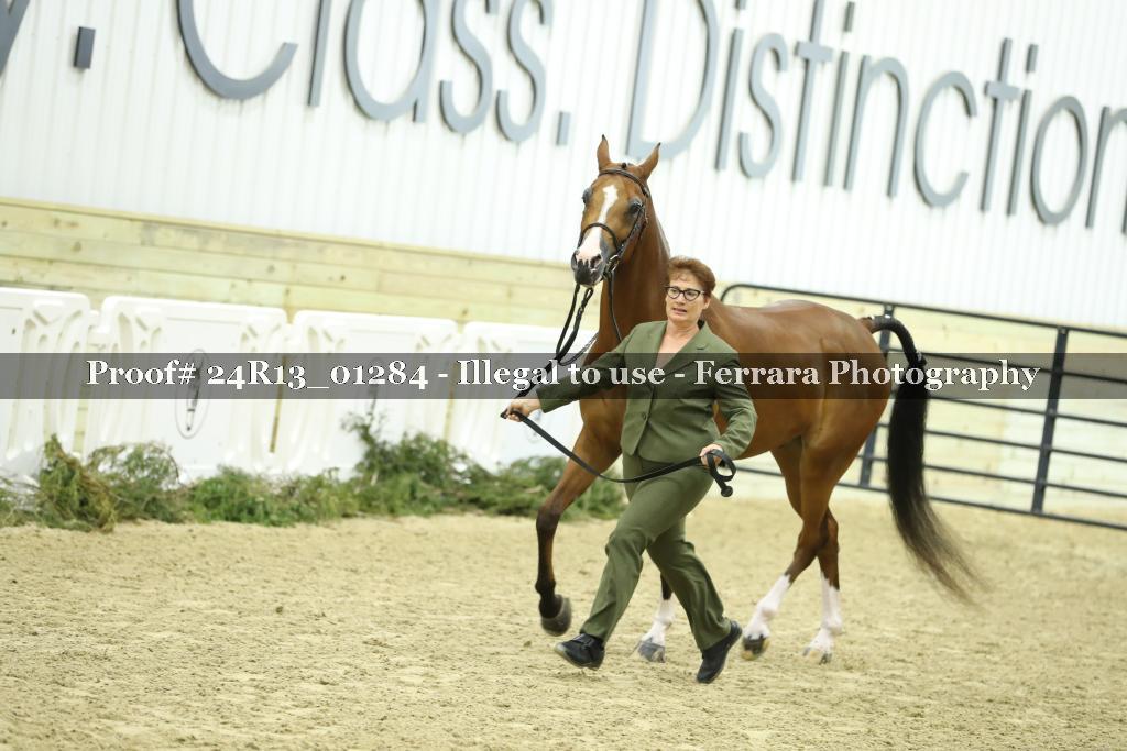 Proof 24R13_01284