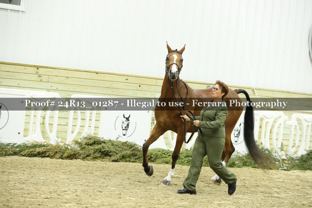 Proof 24R13_01287