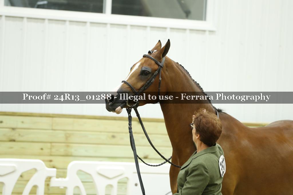 Proof 24R13_01288